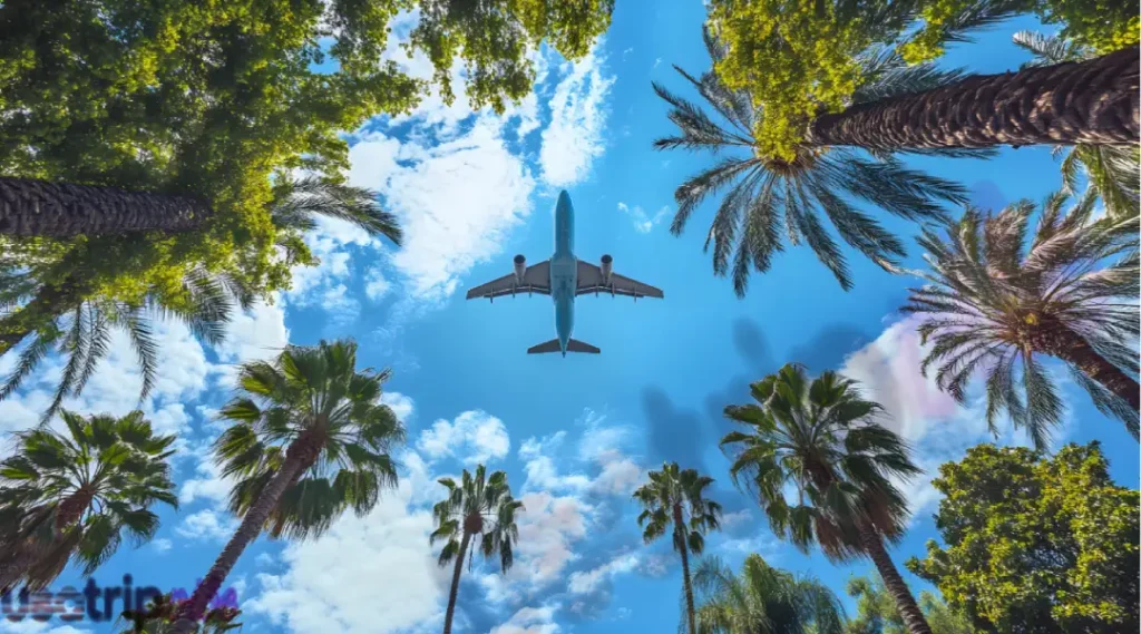 Flights to Miami Guide