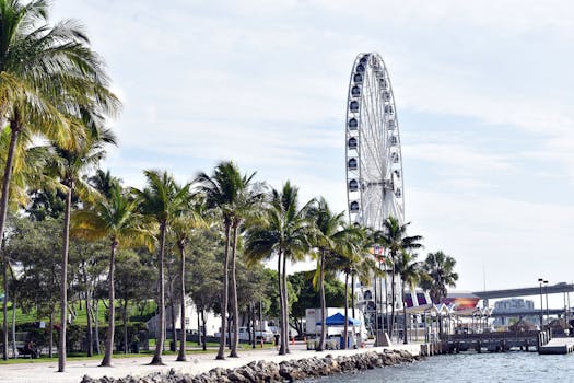 Ferris wheel near palm-lined waterfront in Miami, capturing a sunny day scene.